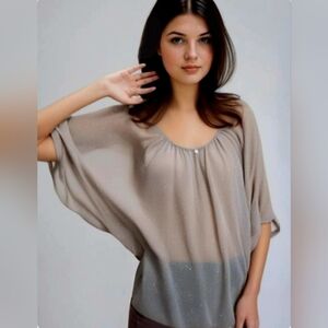 Jennifer Lopez Blush Beige Sheer Shimmer Blouse